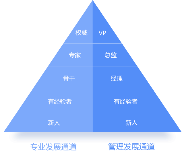 猎豹的成长路径